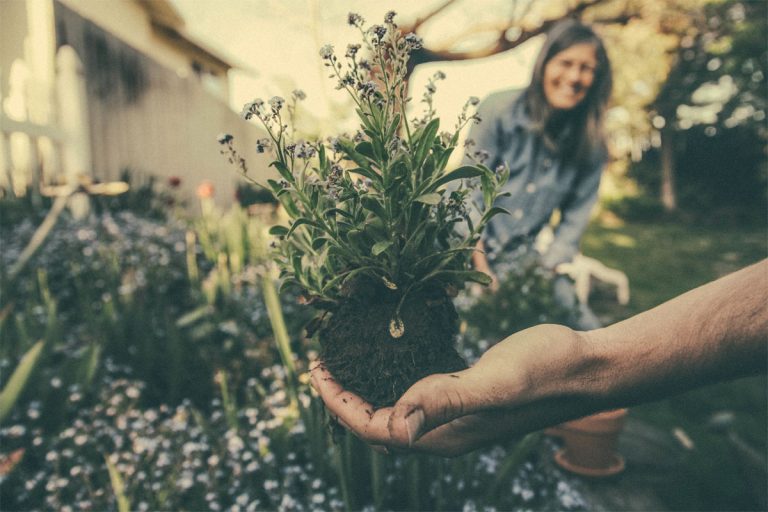 Titelbild zu „Werbung: Der OBI Gartenplaner – Dein Wunsch. Dein Plan. Dein Projekt.“